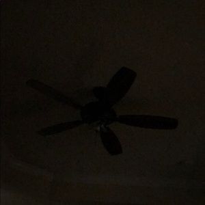 Meet your Posher, Marie